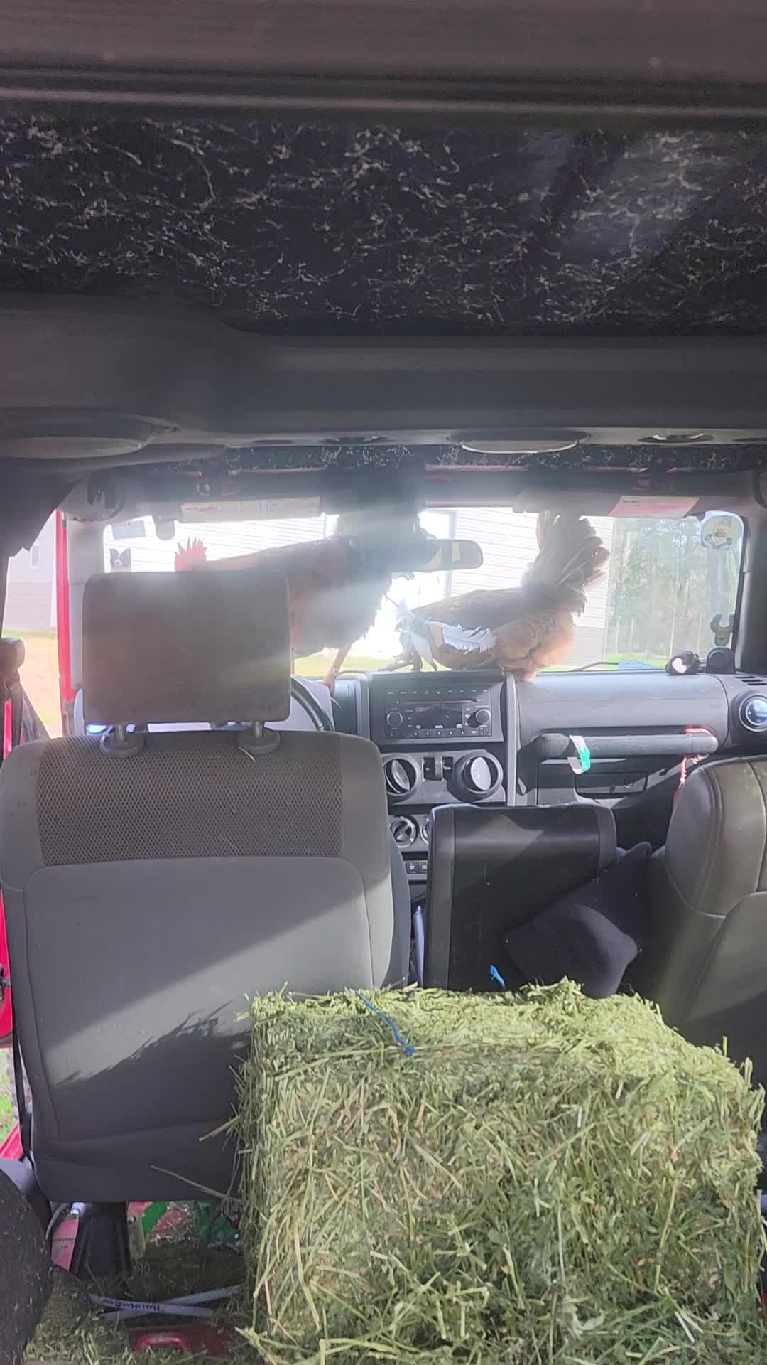 @MistythevLlamahowtos