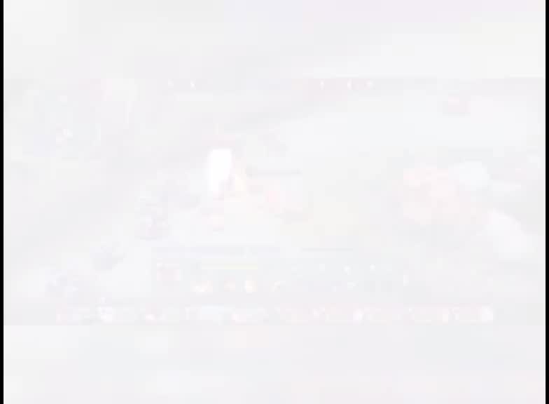@nicholaszvc