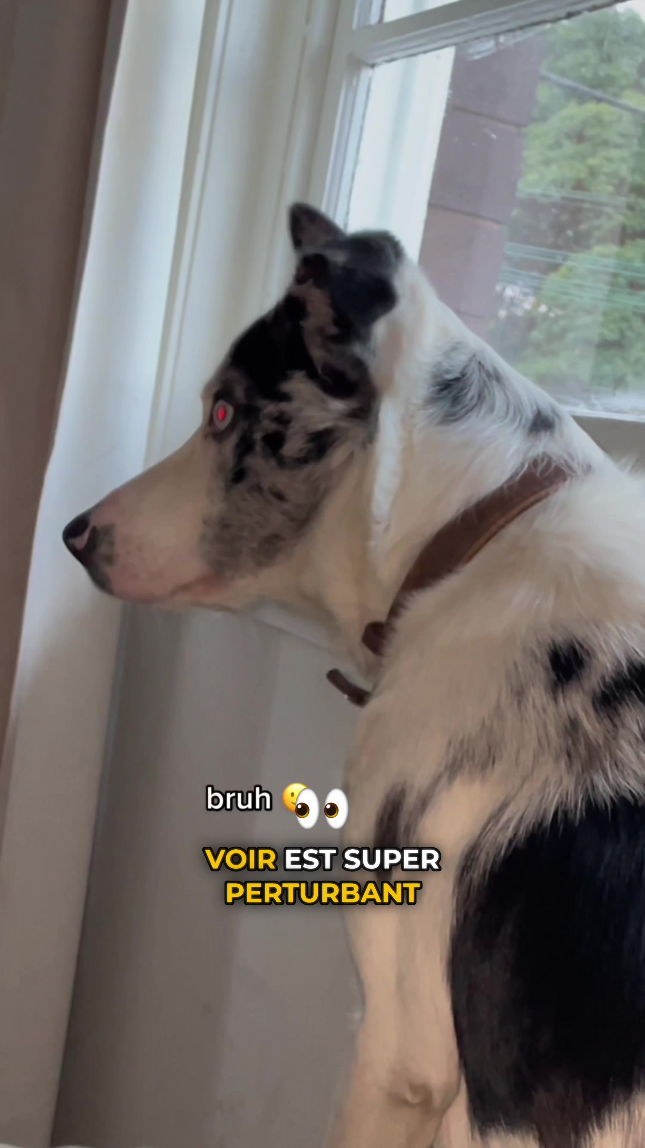 @aoxyshorreur