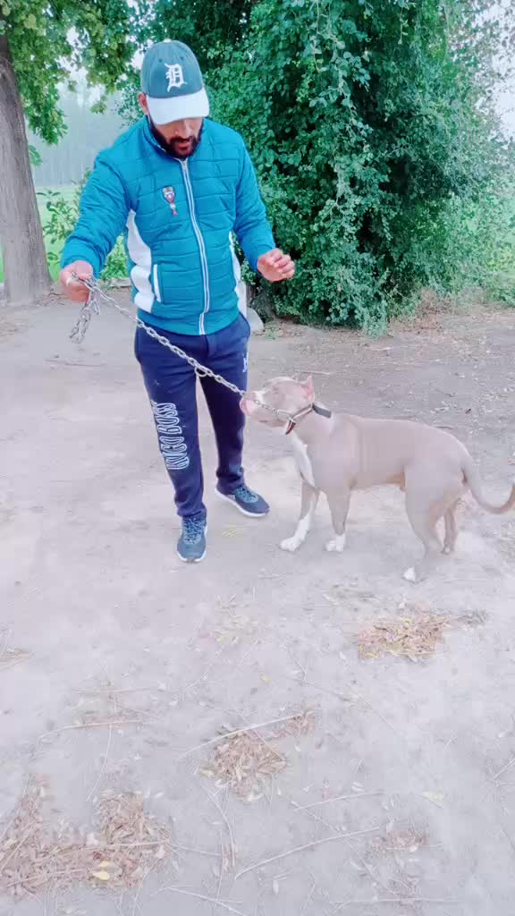 @user7841406370175