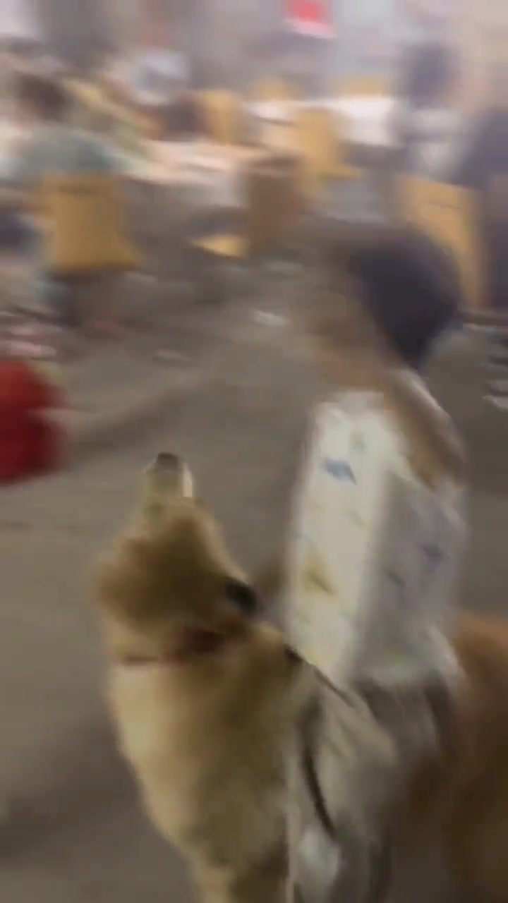 @昆顿.