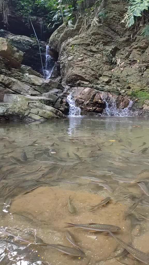 @kanchhashrestha10