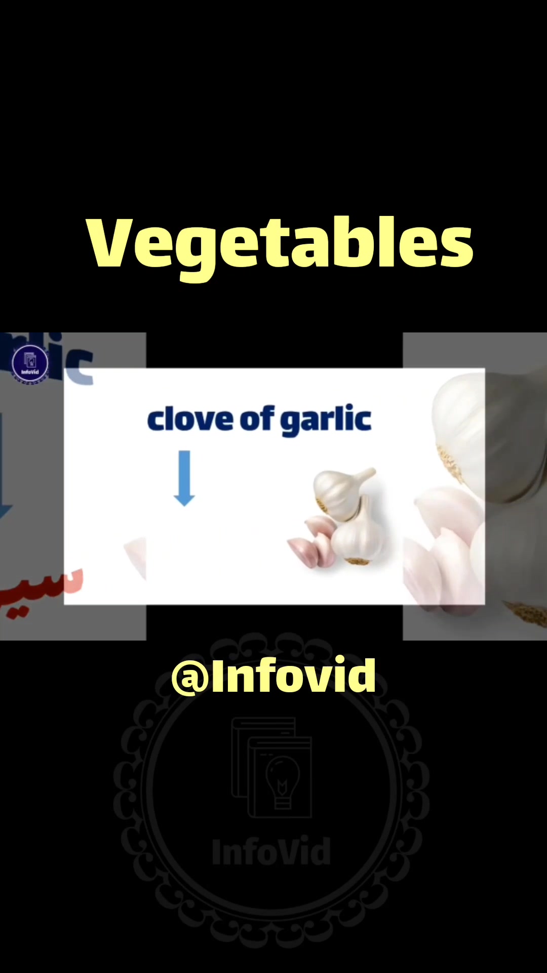 @infovid