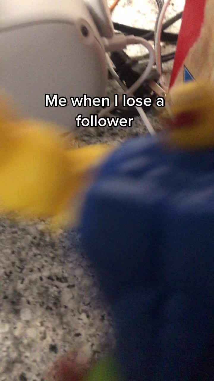 @I do stopmotions and wars