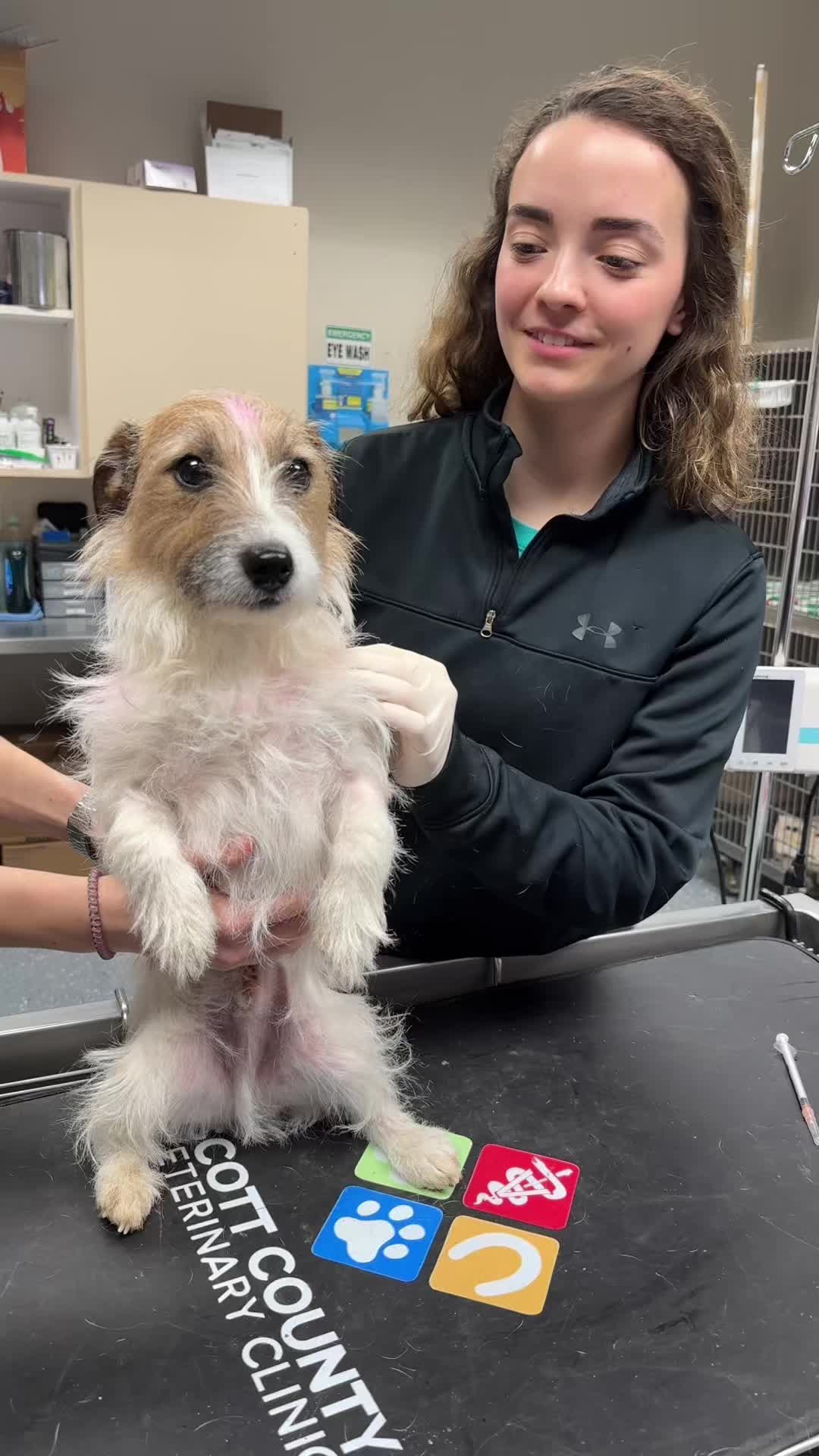 @Scott County Vet Clinic