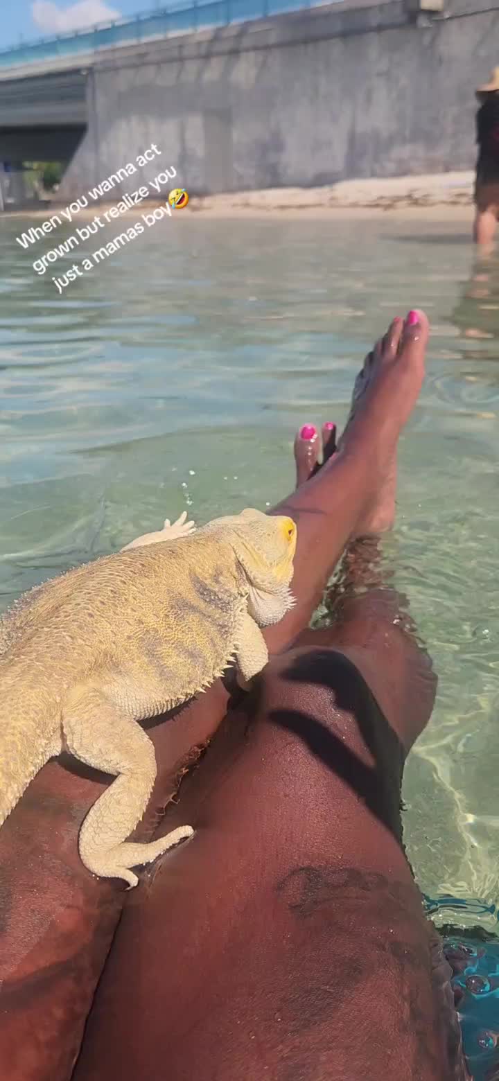 @hangwithJ2