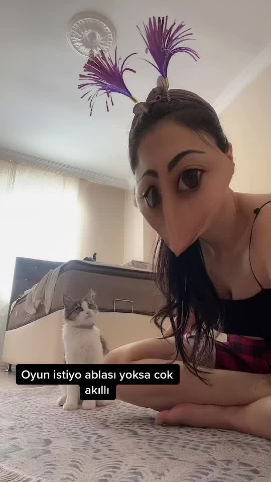 @Reyhan Koçer