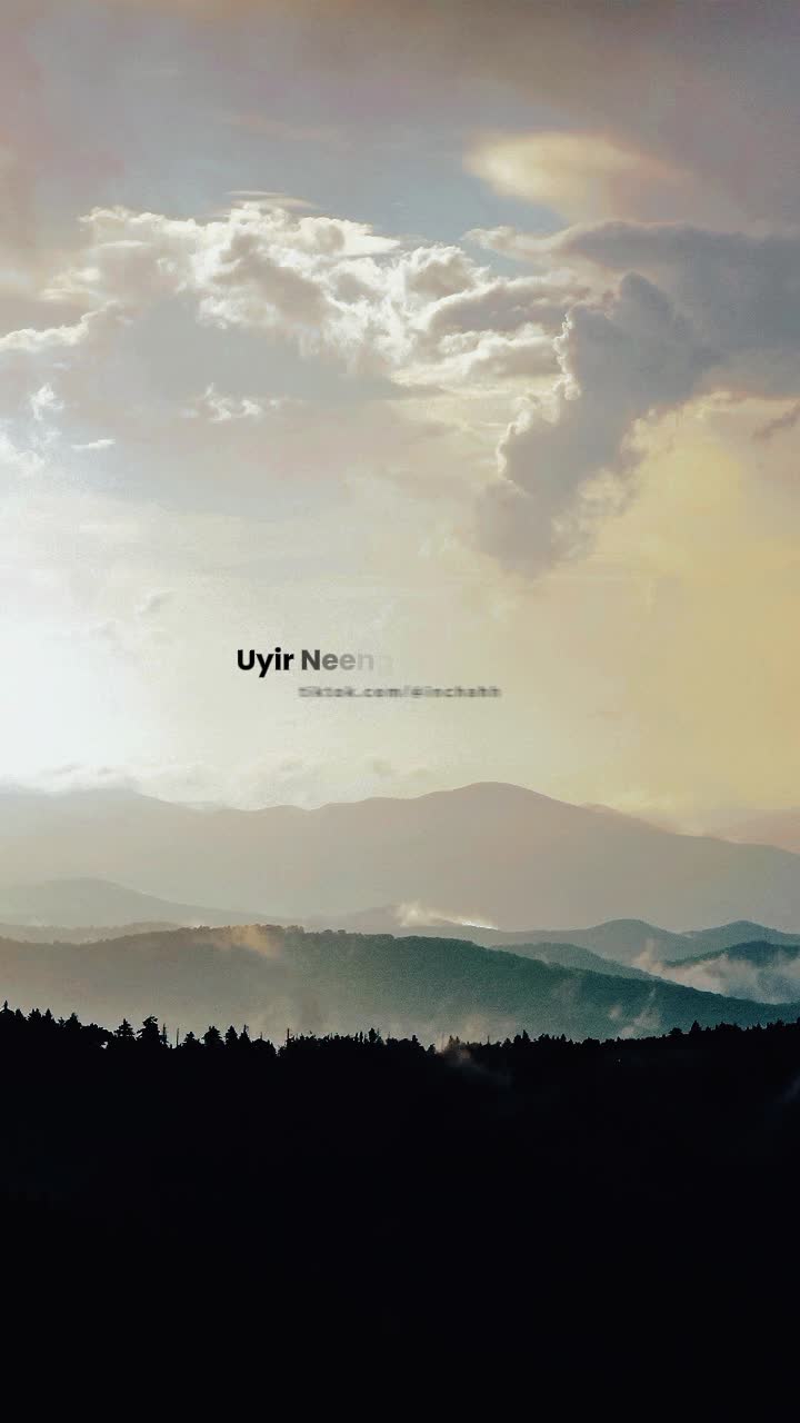 @playlist.ִֶָ🪽་༘࿐
