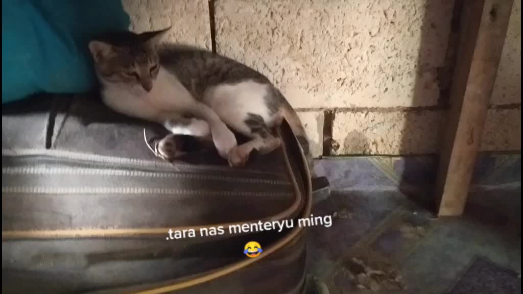@EGAT VLOG