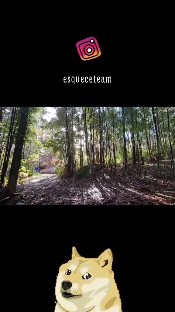 @Esquece Team