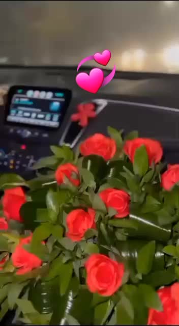 @sevgi