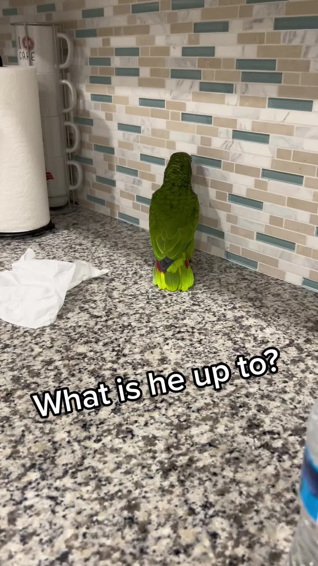 @Peeps