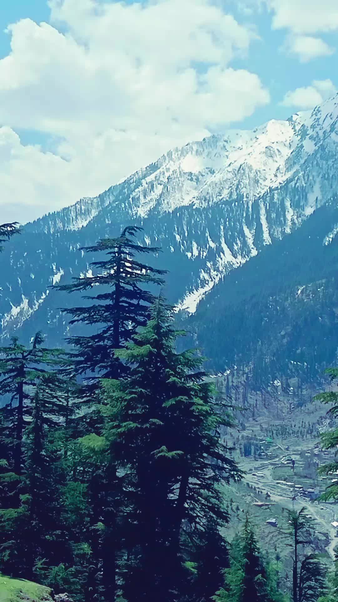 @Farhan Khan Jadoon