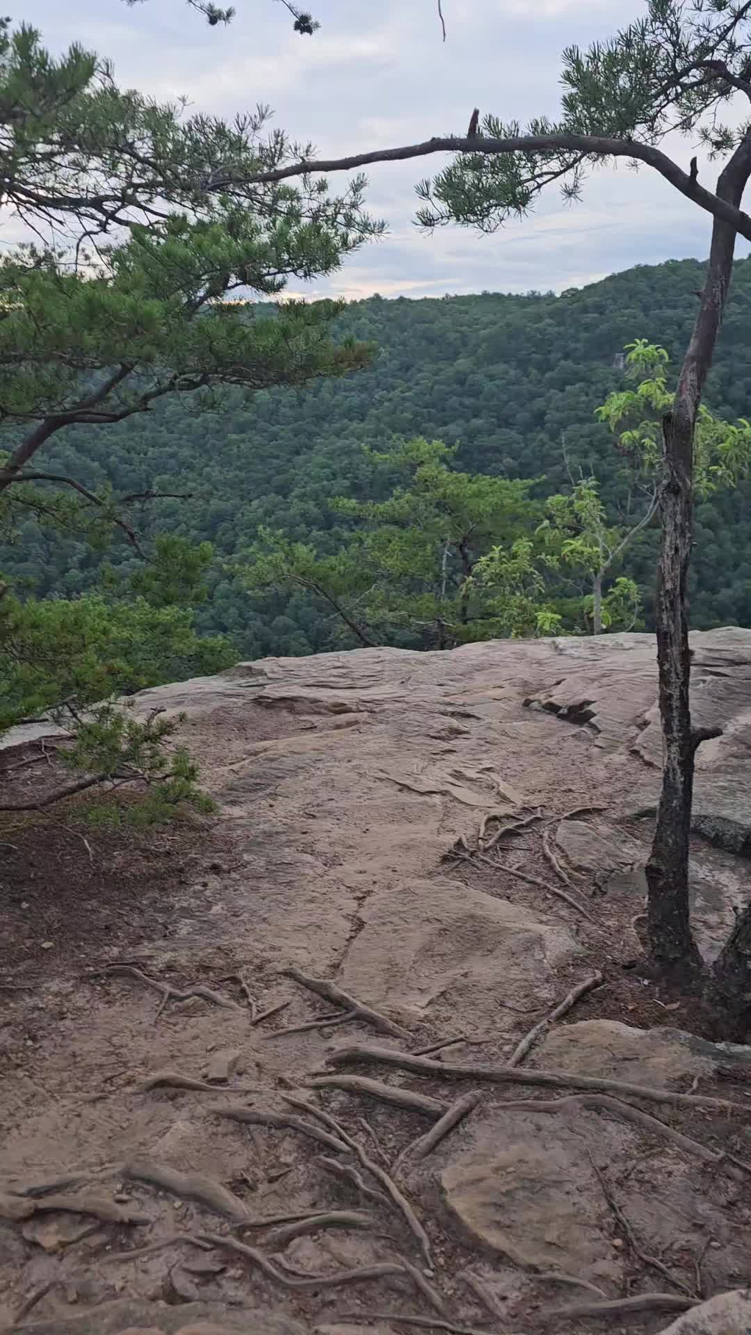 @Josue_wildlife_photography86