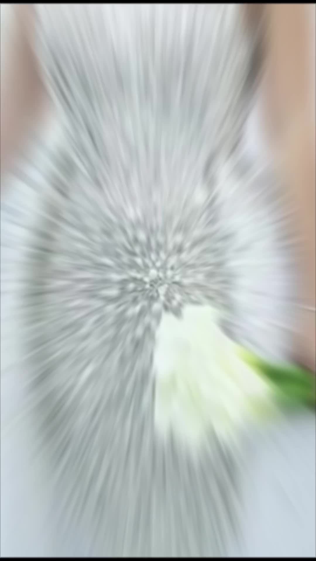 @dimitri sidawi