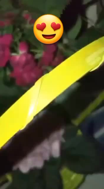 @sevgi