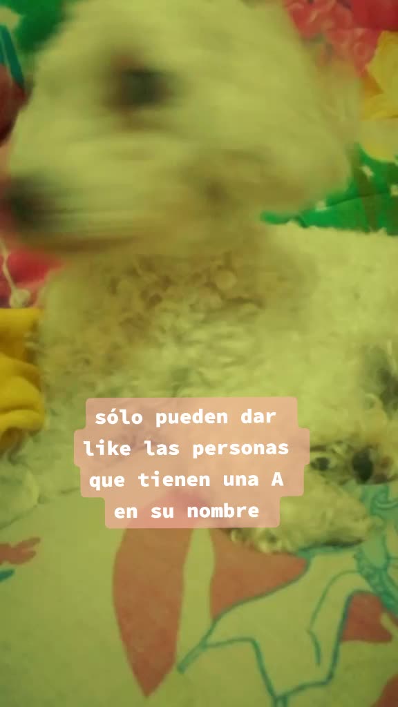 @Princesadulce&mdash;