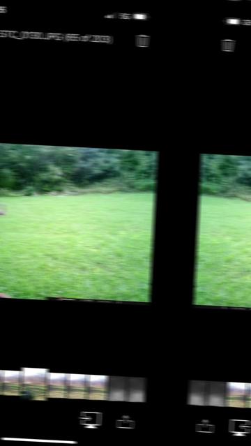 @Hammy Outdoors