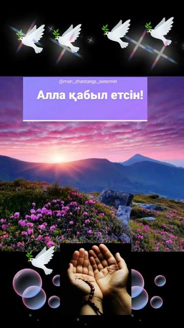 @Taraz0876