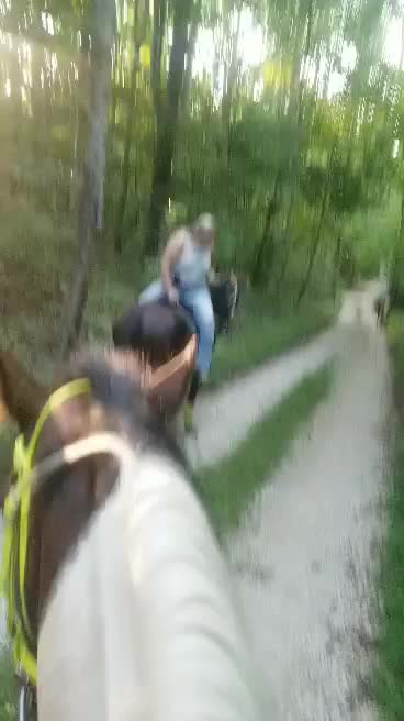 @Mane Stream Stables