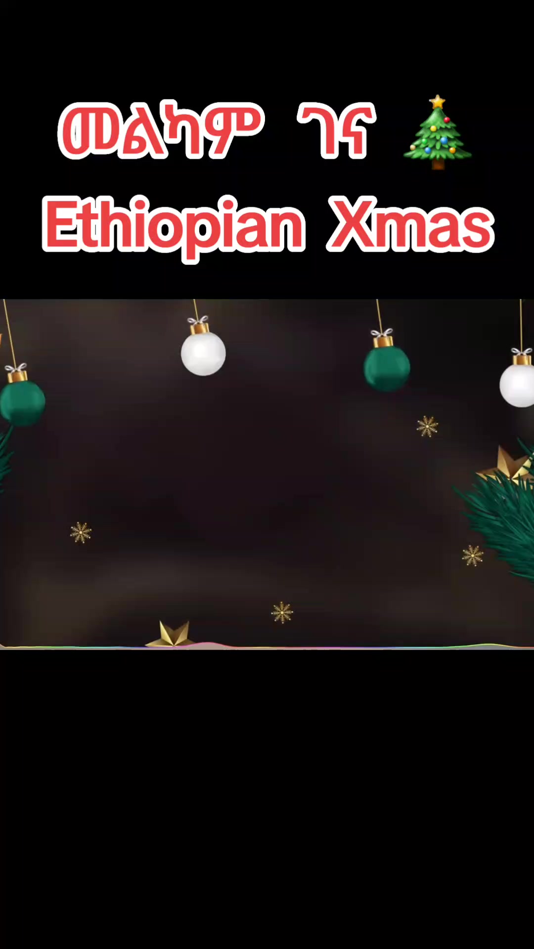 @alu berhane ๐งฟ