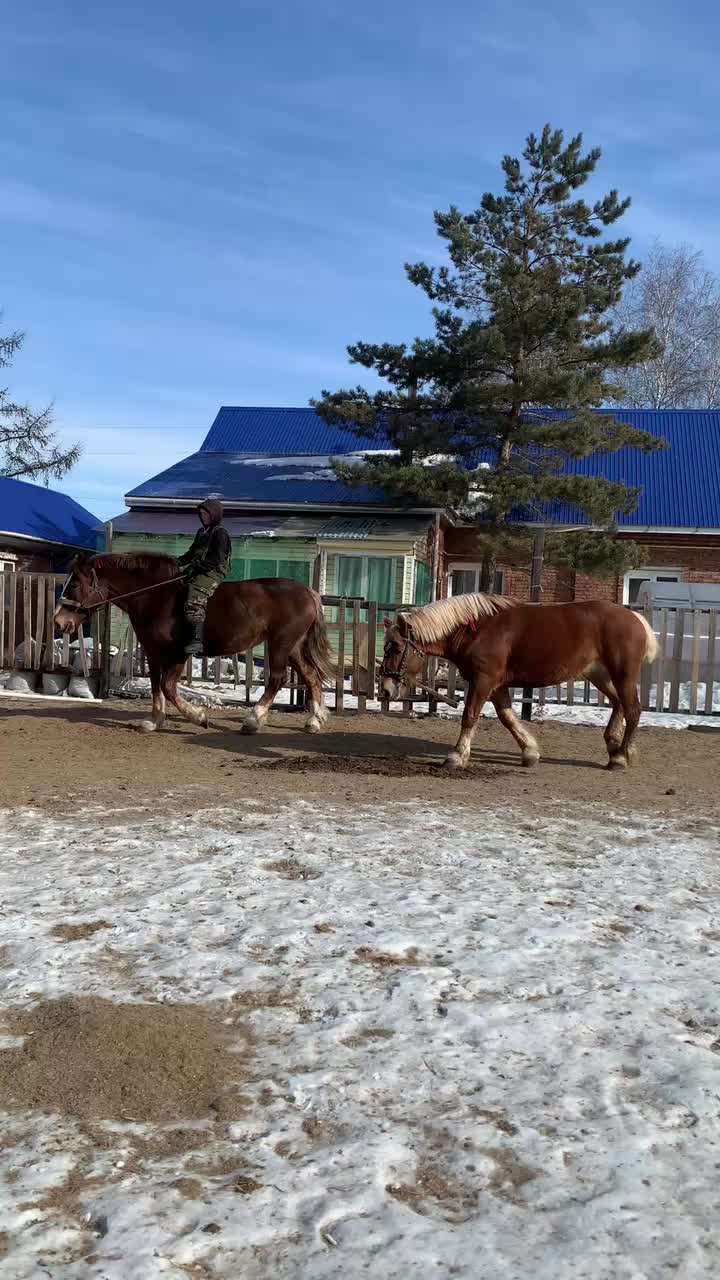 @А_нют_А🤪