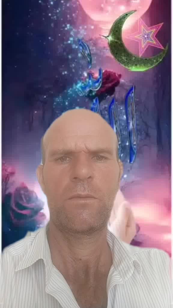 @rovsencebiyev595