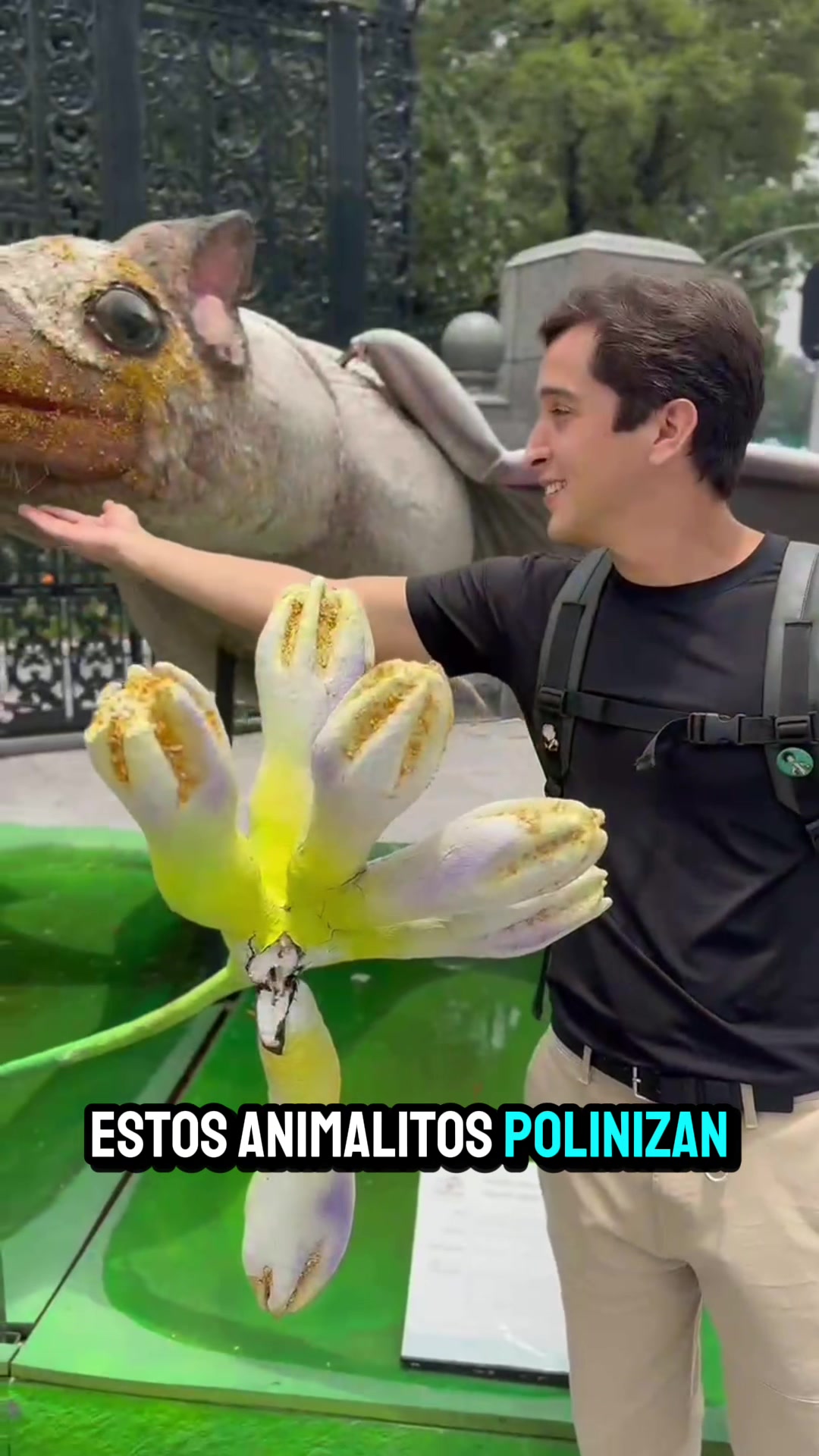 @Brandon Lara