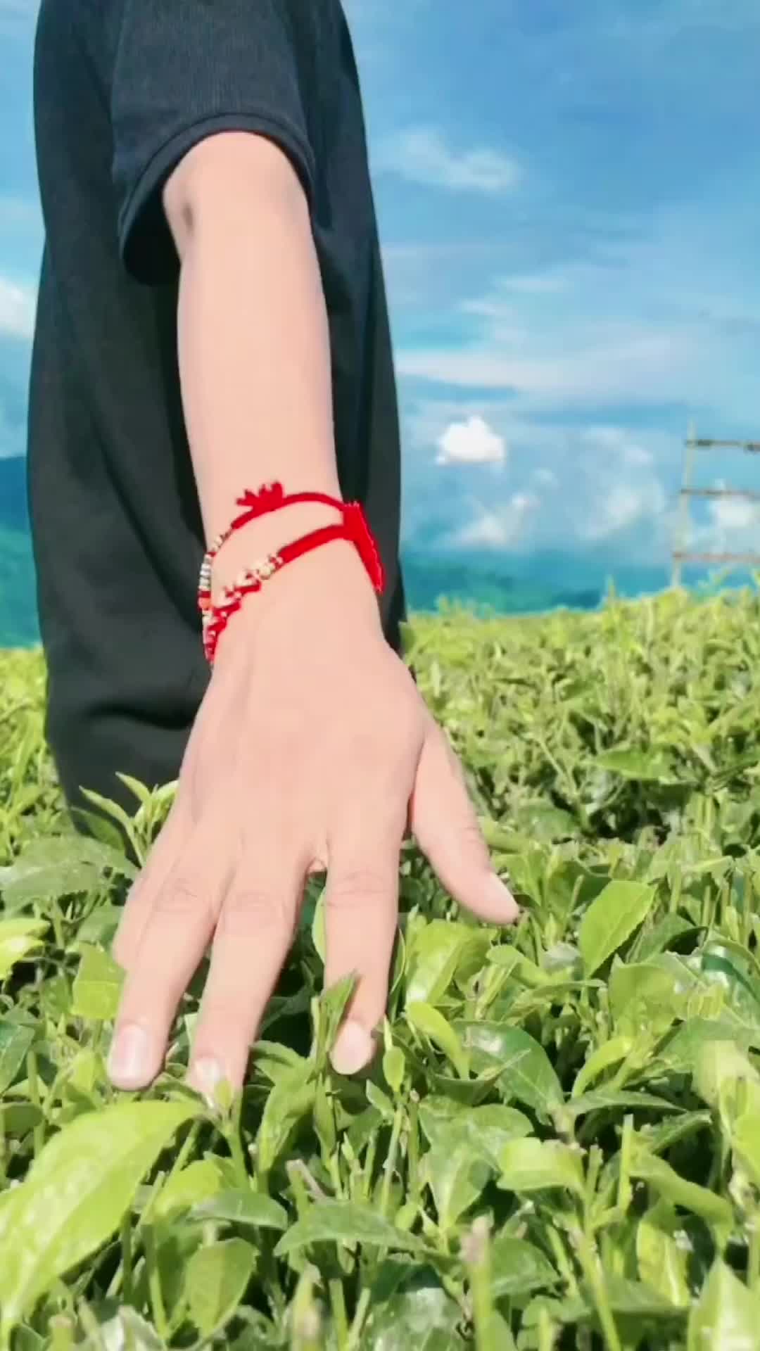 @Kaji😎