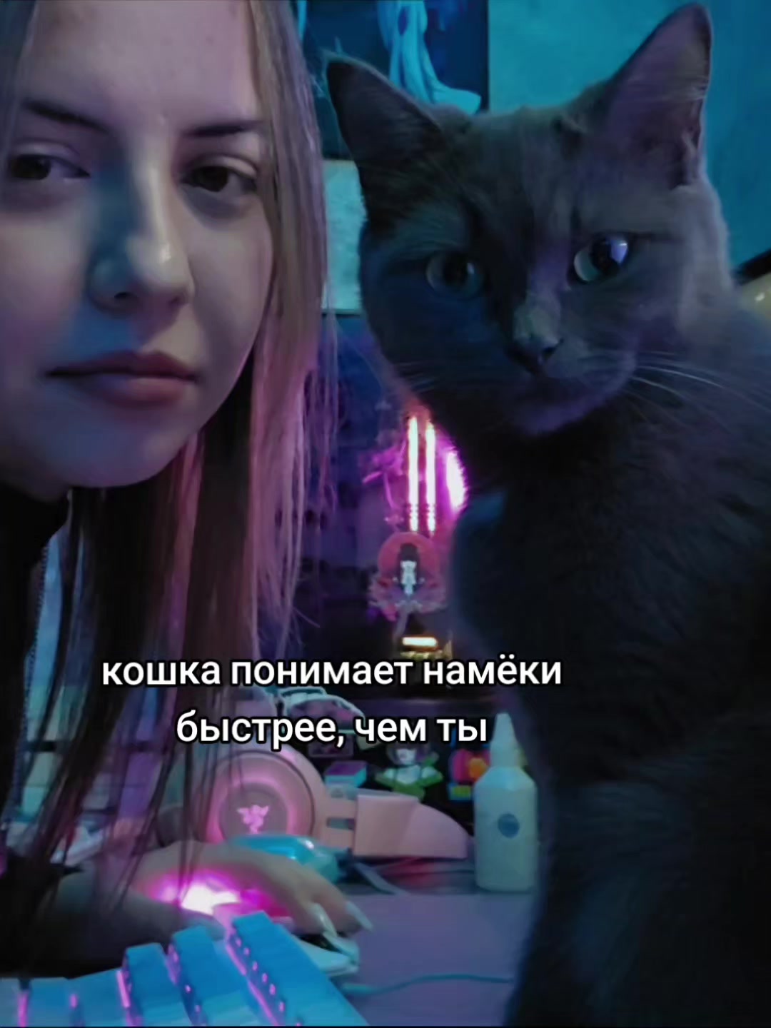 @wifenka