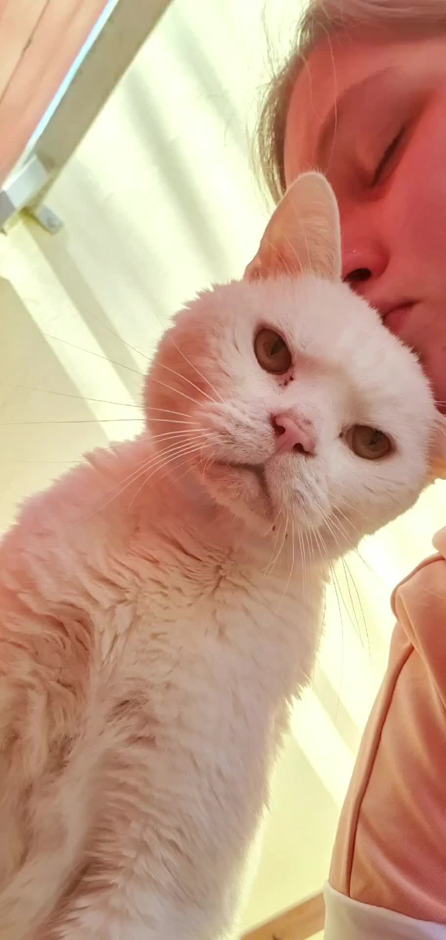 @๐ด๐๐๐๐๐ ๐