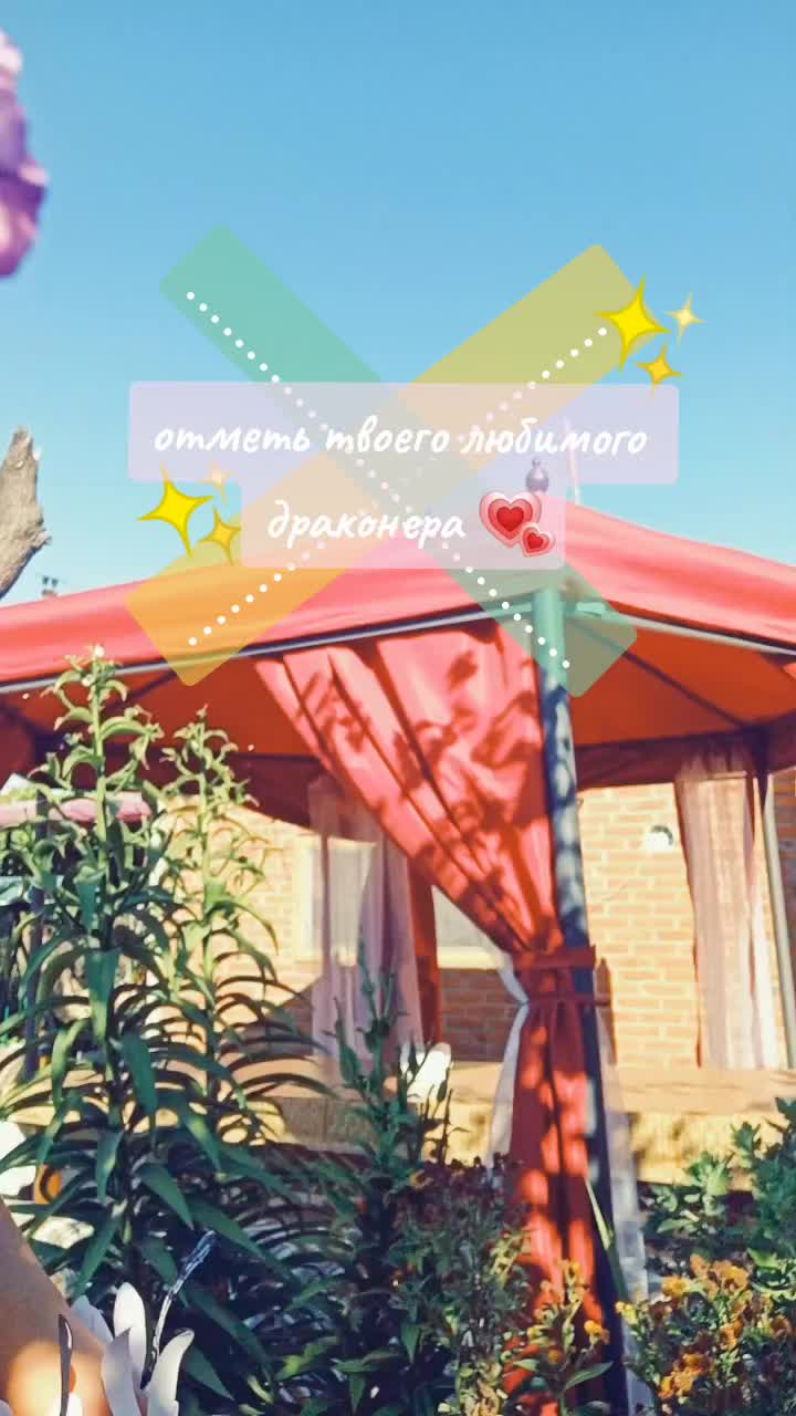 @kotara