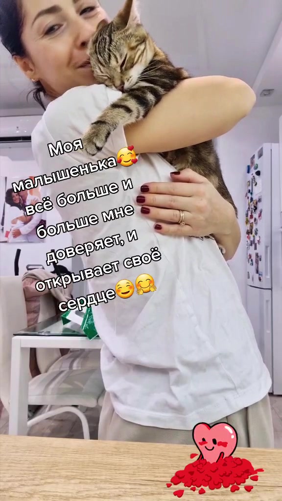 @Brunodiary