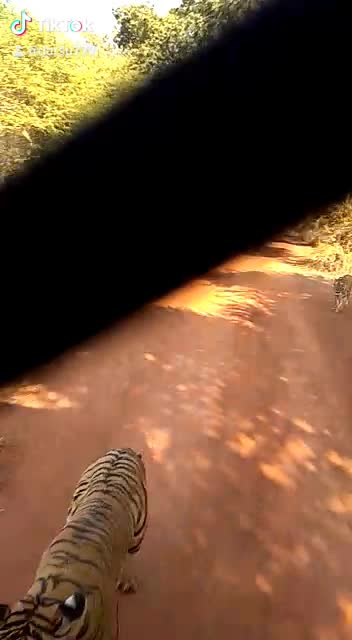 @darshanamahor