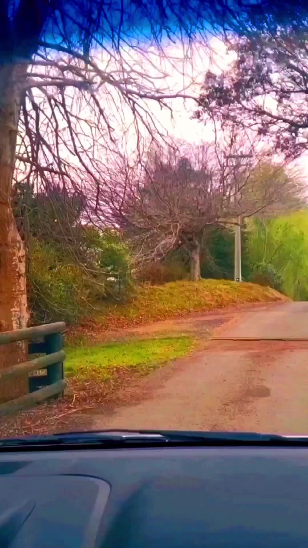 @Courier Driver in Paradise