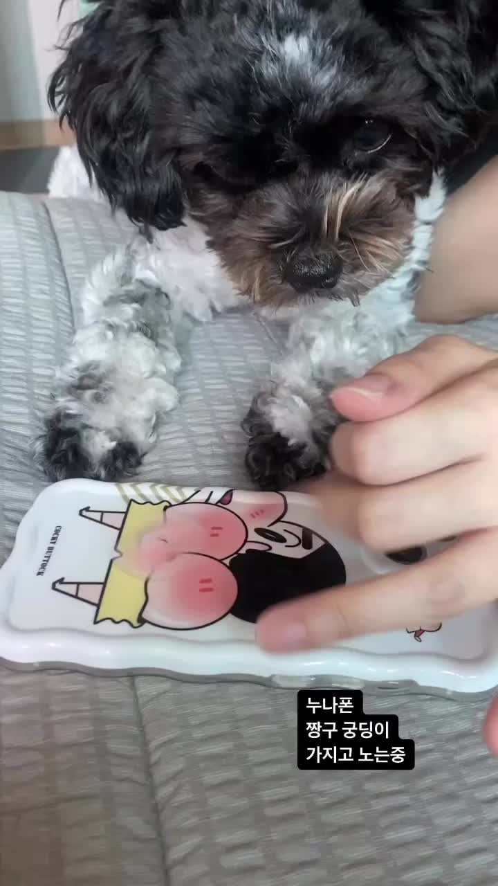 @yoontan