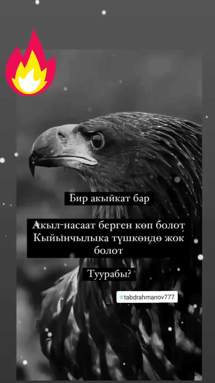 @Талант Абдрахманов