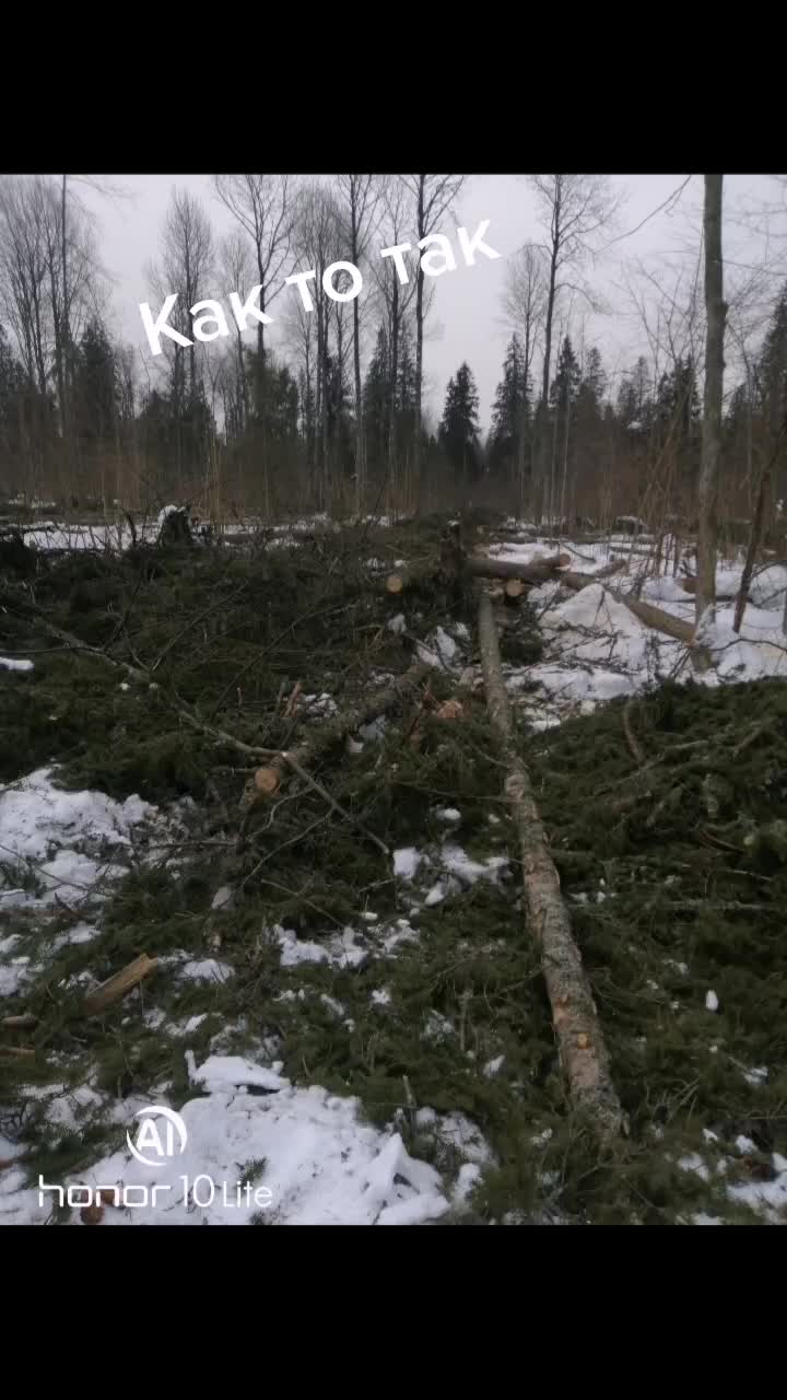 @Андрей Шубин