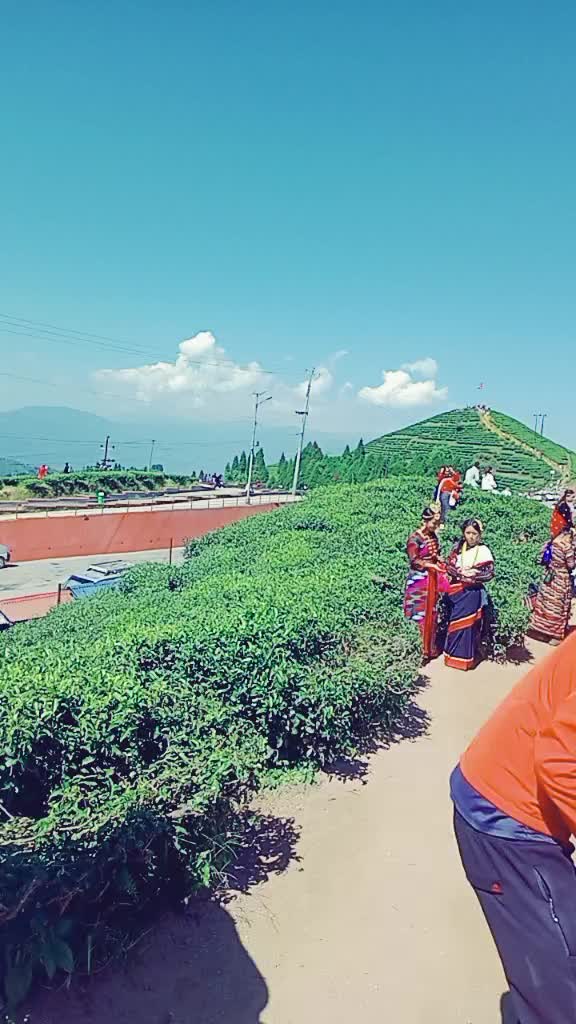 @Ashmi limbu🤗
