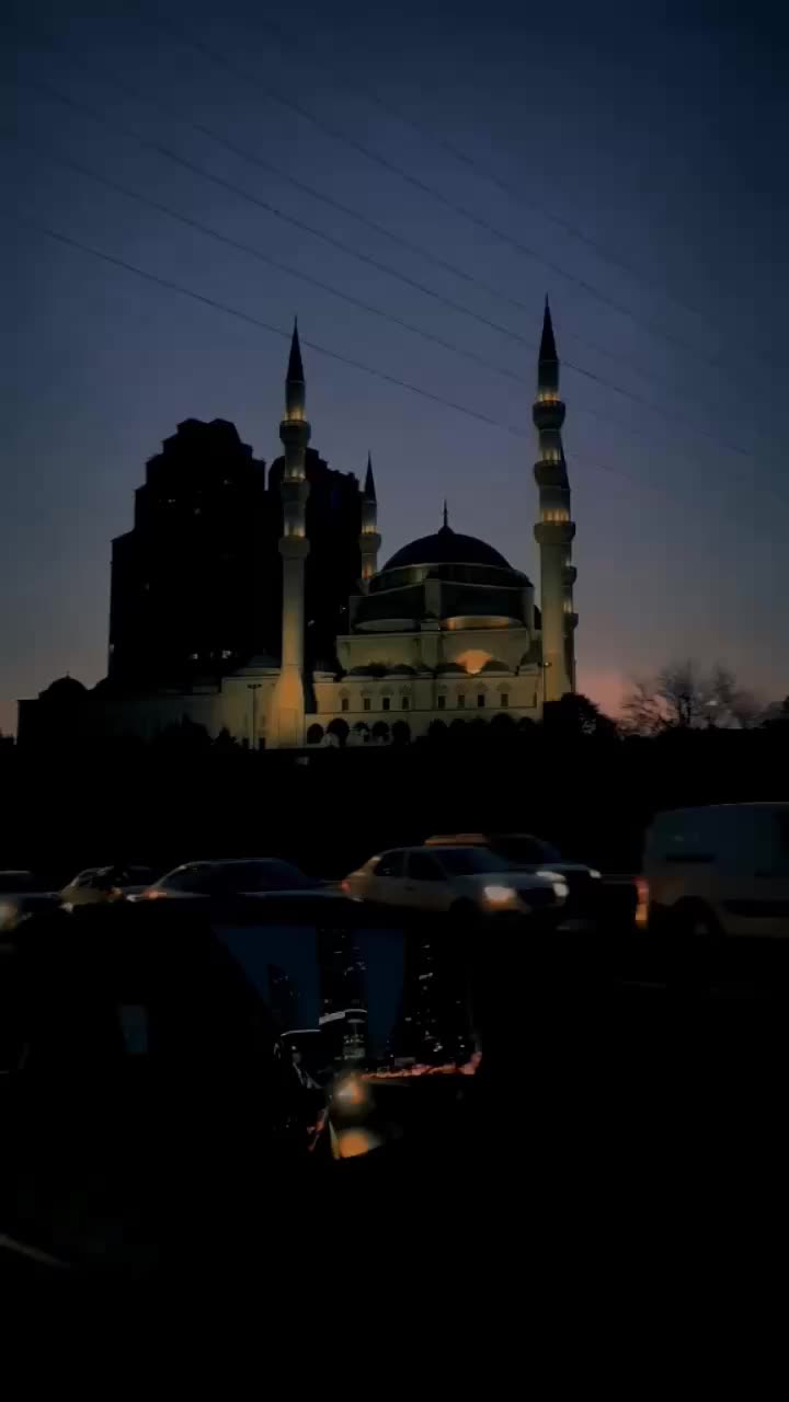 @𝐕𝐢𝐫𝐠𝐨'𝟖𝟒