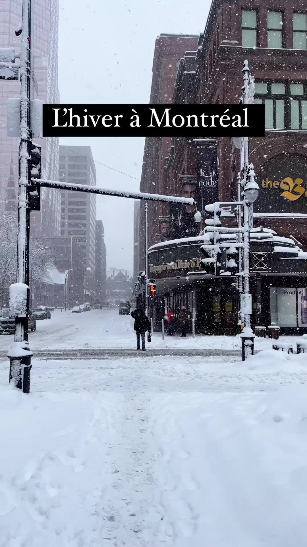 @Montreal Travelers