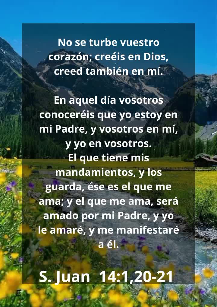 @Vicayquipa