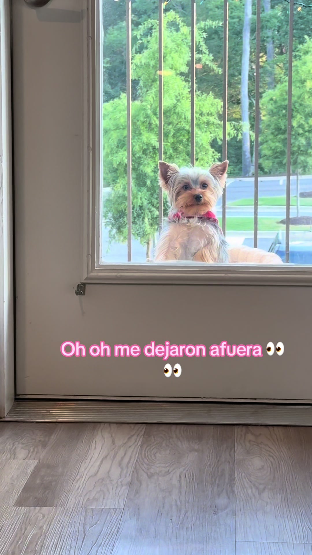 @María