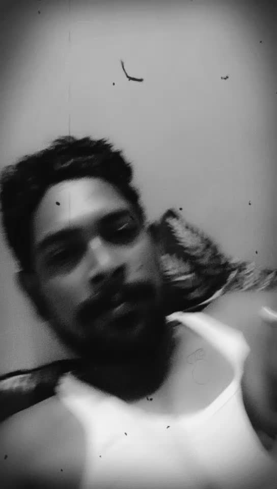 @dipaksolanki
