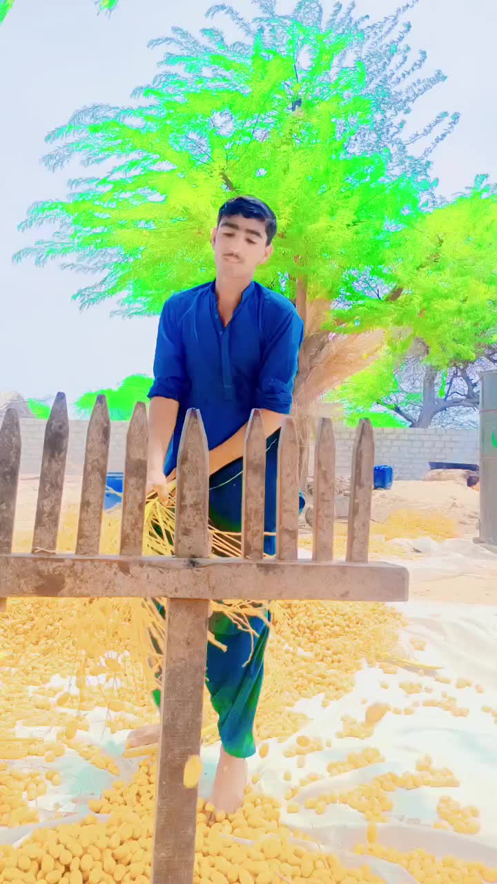 @Noor Muhammad