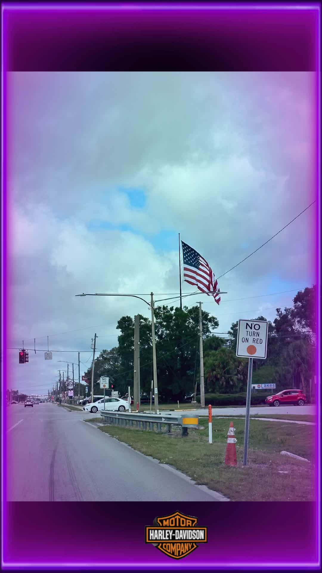 @H-D_BikerDude_FL941