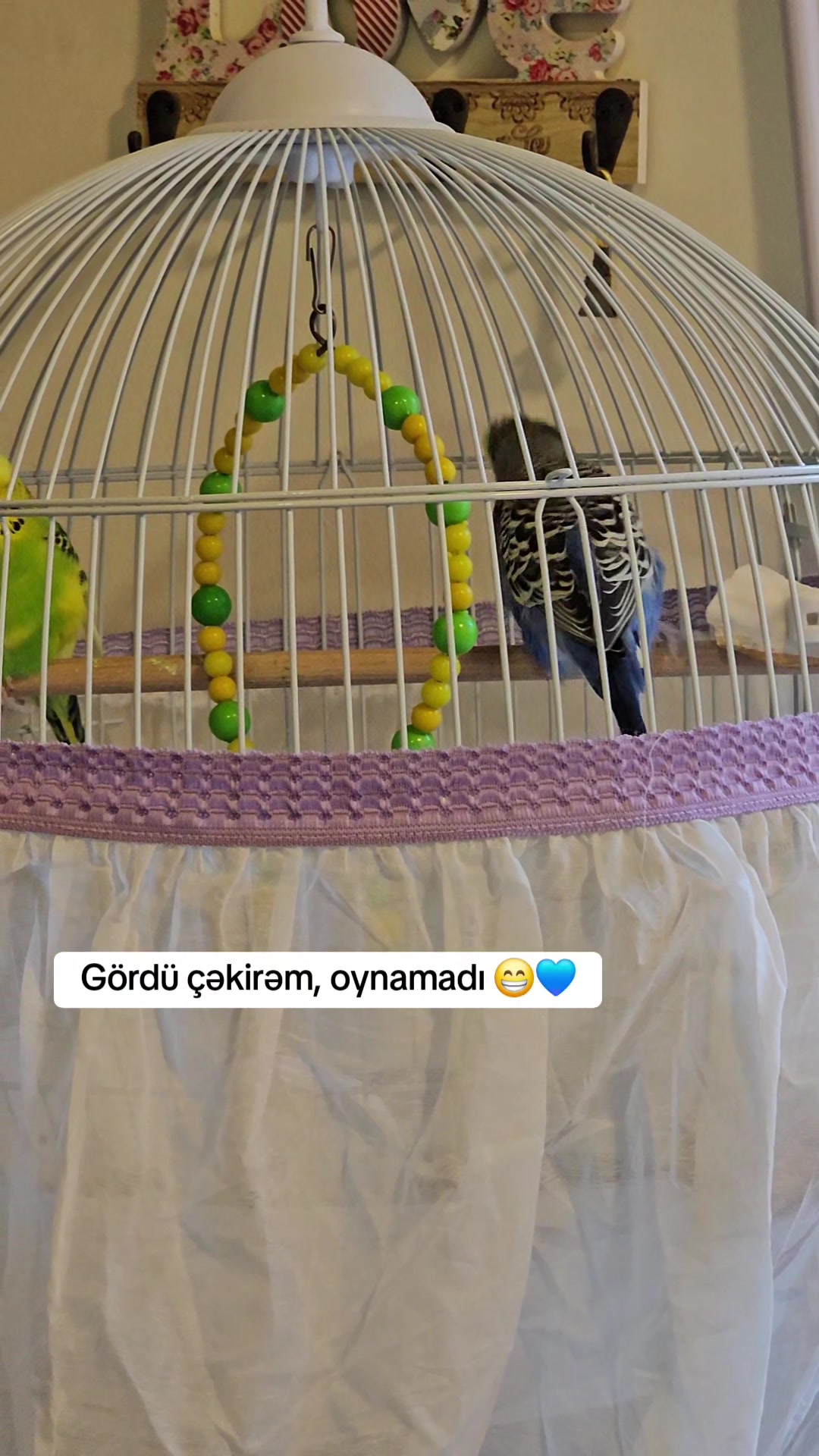 @Fidan İslamova