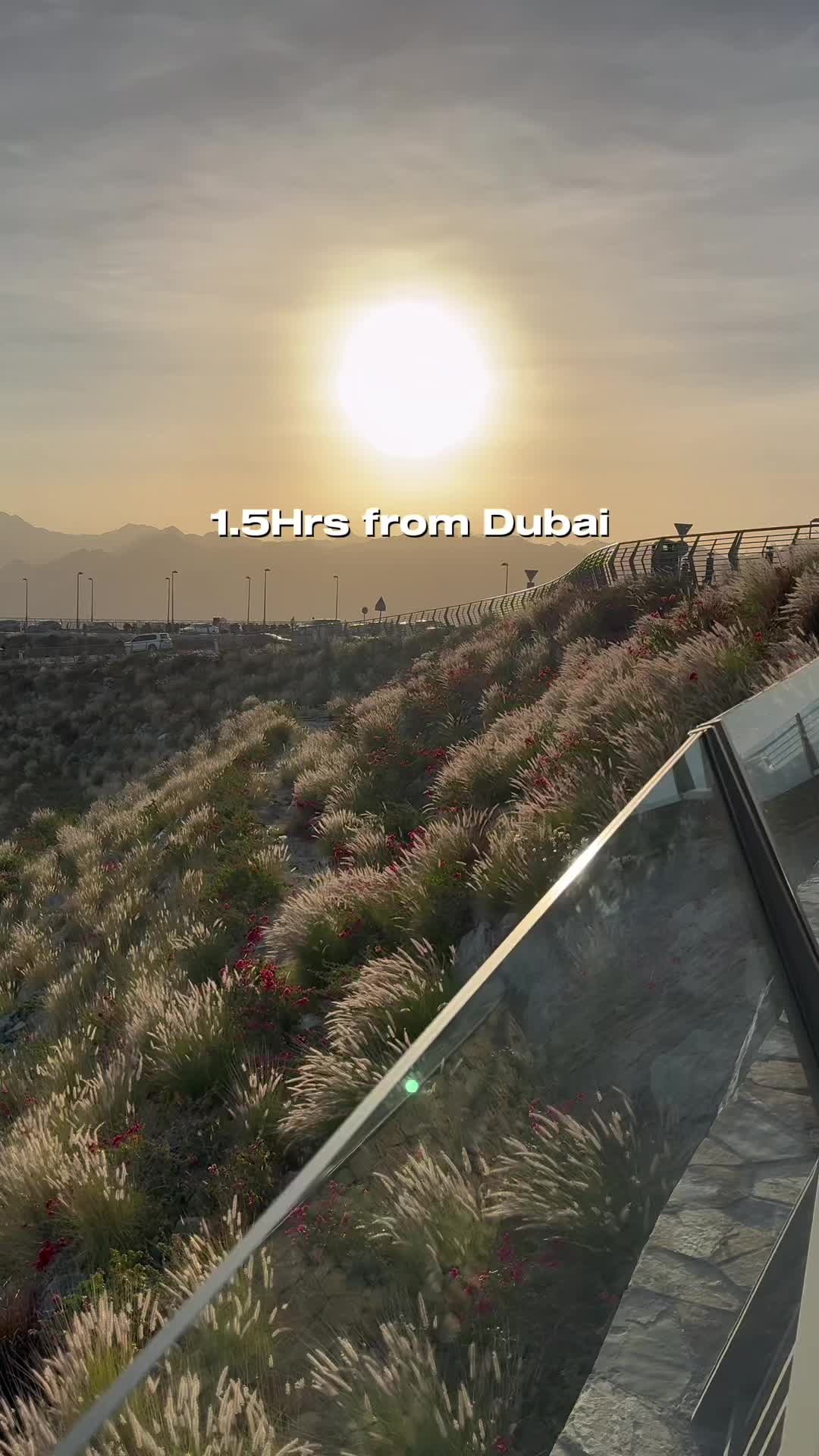 @oohdubai