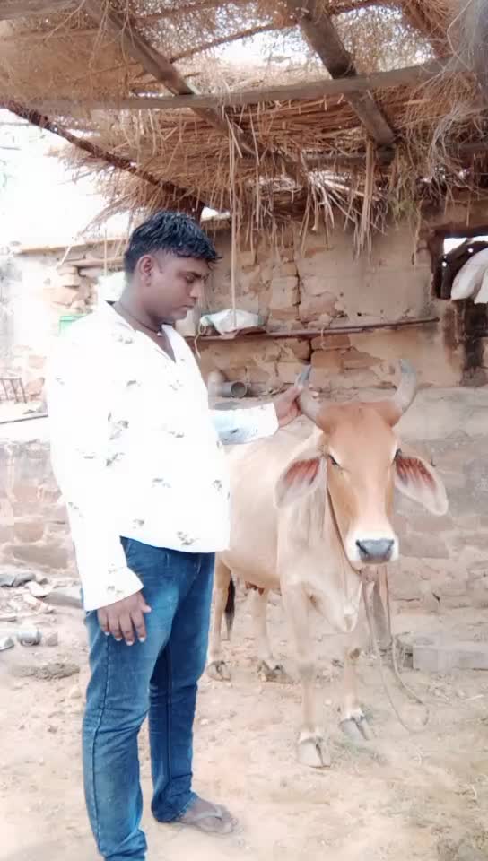 @Navin H Navin H