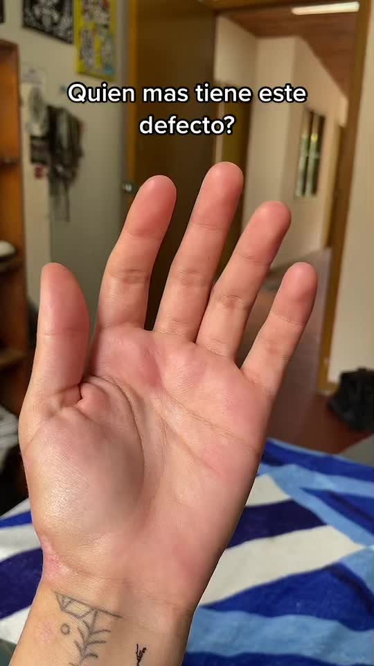 @clavijonikol